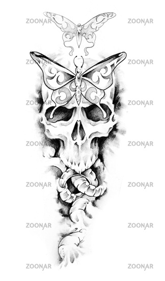 Sketch of tattoo art skull