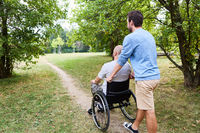 Man assisting friend in wheelchair on a peaceful park path, showcasing camaraderie and accessibility