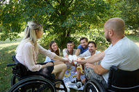Group of friends enjoying a picnic in the park, including persons using wheelchairs